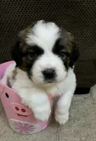 processed/c87d9db7-7e67-463a-92ae-cb16454662b2/facility/39a4c481-bf91-4733-9476-1eb5b2ca8d59