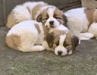 processed/c87d9db7-7e67-463a-92ae-cb16454662b2/facility/45f4dc15-e4bc-4ad6-b757-aa25ccfbd911