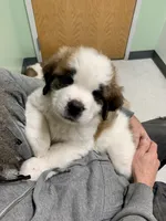 processed/c87d9db7-7e67-463a-92ae-cb16454662b2/facility/550d7535-4bcf-4ebe-847a-a7f836652889