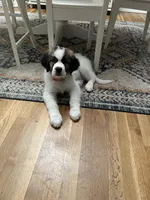 processed/c87d9db7-7e67-463a-92ae-cb16454662b2/facility/5a4e9df9-e554-49ac-9840-61e58c873af1