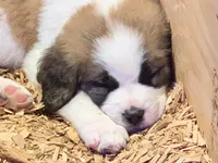 processed/c87d9db7-7e67-463a-92ae-cb16454662b2/facility/6421dd18-1170-4ce1-a44f-32ab115013de