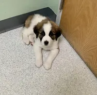 processed/c87d9db7-7e67-463a-92ae-cb16454662b2/facility/8d4279ac-b0ec-49f2-b422-a1272d09ad2a