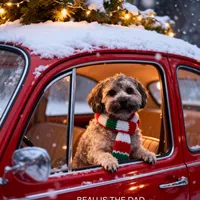 AKC SHADOW, a male Havanese for sale in Arab, AL – Photo 5 of 9