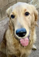 processed/c881e0ab-872c-425a-85fe-042554008f7c/listing/629da437-02cc-4656-8a28-7a84f2f86d1d/27734fd4-26e4-4097-82f5-2bfba27115a1