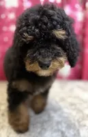 processed/c881e0ab-872c-425a-85fe-042554008f7c/listing/c47d4018-eff9-4007-bc5e-a746af78a9fd/2d5cf4ec-4f6c-446f-8263-035826396847