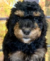 processed/c881e0ab-872c-425a-85fe-042554008f7c/listing/c47d4018-eff9-4007-bc5e-a746af78a9fd/f6432a23-7f59-42a2-b085-66a674d04411