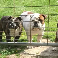 processed/c882497a-18f7-4191-91cc-ddc95afc5dfe/facility/488b27c5-9cdb-4b31-a273-efec2b44e443