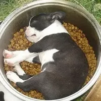 processed/c882497a-18f7-4191-91cc-ddc95afc5dfe/facility/cf655c02-5293-48b9-9df9-6f3b6239617d