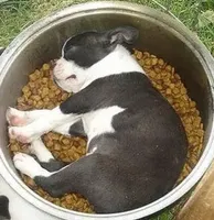 processed/c882497a-18f7-4191-91cc-ddc95afc5dfe/facility/cf655c02-5293-48b9-9df9-6f3b6239617d