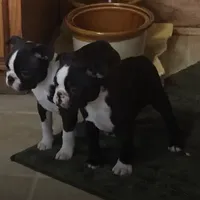 processed/c882497a-18f7-4191-91cc-ddc95afc5dfe/facility/eed81a2a-ae17-4453-b09f-00c3026625b2