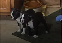 processed/c882497a-18f7-4191-91cc-ddc95afc5dfe/facility/eed81a2a-ae17-4453-b09f-00c3026625b2