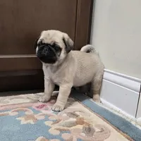 processed/c882497a-18f7-4191-91cc-ddc95afc5dfe/listing/2c2eef89-f875-47c4-953f-be5eccab34c9/16c026a0-6d44-46db-998a-009031fa3f86