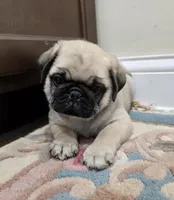 processed/c882497a-18f7-4191-91cc-ddc95afc5dfe/listing/2c2eef89-f875-47c4-953f-be5eccab34c9/28e25e16-b104-41ab-b8fb-7b6b703dfa09