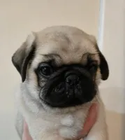 processed/c882497a-18f7-4191-91cc-ddc95afc5dfe/listing/2c2eef89-f875-47c4-953f-be5eccab34c9/a28c173c-020f-4241-9000-aa30970ac465