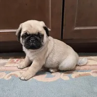 processed/c882497a-18f7-4191-91cc-ddc95afc5dfe/listing/2c2eef89-f875-47c4-953f-be5eccab34c9/efc8d245-a1fc-496a-97c5-a7297f05028f