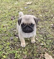 processed/c882497a-18f7-4191-91cc-ddc95afc5dfe/listing/4f478325-8a6d-4a6a-8461-69517b674582/417e9f79-f227-4fab-b33b-355594a7e453