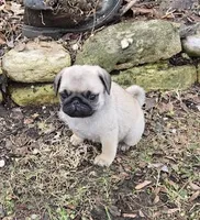 processed/c882497a-18f7-4191-91cc-ddc95afc5dfe/listing/4f478325-8a6d-4a6a-8461-69517b674582/4902d235-f507-448b-80cf-41bffa9aed4b