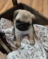 processed/c882497a-18f7-4191-91cc-ddc95afc5dfe/listing/4f478325-8a6d-4a6a-8461-69517b674582/53624dc8-803d-4e10-98e0-711ce2325f03