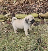 processed/c882497a-18f7-4191-91cc-ddc95afc5dfe/listing/4f478325-8a6d-4a6a-8461-69517b674582/7ec24781-54e9-496a-84d8-c7c0921f22af