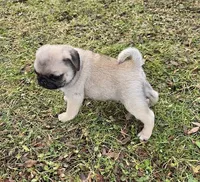 processed/c882497a-18f7-4191-91cc-ddc95afc5dfe/listing/4f478325-8a6d-4a6a-8461-69517b674582/b7589c19-e54a-492b-b7fe-edecbdfcc365