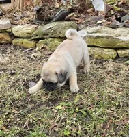 processed/c882497a-18f7-4191-91cc-ddc95afc5dfe/listing/4f478325-8a6d-4a6a-8461-69517b674582/baef923b-5e31-40ac-bc8c-9a5f26554102