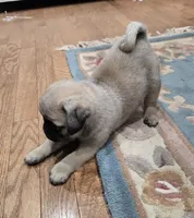 processed/c882497a-18f7-4191-91cc-ddc95afc5dfe/listing/60c6585e-b1de-4170-9d66-eb9849be7c3b/424ab751-a58a-462a-8bf5-3c85853fdaa1