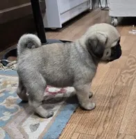 processed/c882497a-18f7-4191-91cc-ddc95afc5dfe/listing/60c6585e-b1de-4170-9d66-eb9849be7c3b/5608e25b-eabd-4a6e-84ec-51f4a80cac35