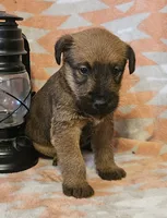 processed/c885e57f-ad13-4a58-b4ec-b978b00c7537/listing/118cae98-1632-4532-8c25-8aebd8697b40/20dfce62-cf1f-4063-afb0-597c723e2ec6