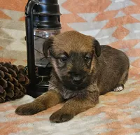 processed/c885e57f-ad13-4a58-b4ec-b978b00c7537/listing/118cae98-1632-4532-8c25-8aebd8697b40/2d72b57b-a8e7-4871-a0d5-fd35326b981e