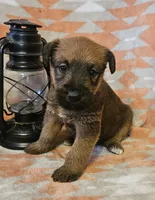 processed/c885e57f-ad13-4a58-b4ec-b978b00c7537/listing/118cae98-1632-4532-8c25-8aebd8697b40/42cb98b7-7a40-4ed5-a45a-7ad5baf6d140