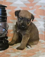 processed/c885e57f-ad13-4a58-b4ec-b978b00c7537/listing/118cae98-1632-4532-8c25-8aebd8697b40/5b1dfa0b-178f-495d-b6bf-10431eeaeb31