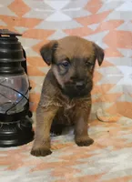 processed/c885e57f-ad13-4a58-b4ec-b978b00c7537/listing/118cae98-1632-4532-8c25-8aebd8697b40/738c1104-d90f-4886-b1de-f593bd265bc8