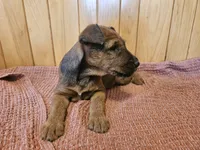 processed/c885e57f-ad13-4a58-b4ec-b978b00c7537/listing/1fb21c6a-d780-4d79-b3e4-47c398921f22/385c70d0-1845-4f6a-bf3c-72e450fdfaa9