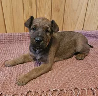 processed/c885e57f-ad13-4a58-b4ec-b978b00c7537/listing/1fb21c6a-d780-4d79-b3e4-47c398921f22/71e888c9-64ea-4bf8-ba6e-94c18bdf269f