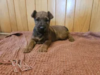 processed/c885e57f-ad13-4a58-b4ec-b978b00c7537/listing/1fb21c6a-d780-4d79-b3e4-47c398921f22/a0310231-5a07-4c11-8964-771c3aeff0f3