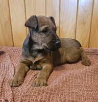 processed/c885e57f-ad13-4a58-b4ec-b978b00c7537/listing/1fb21c6a-d780-4d79-b3e4-47c398921f22/ce5d2ac7-66a0-48a2-a8f4-0f61890338f9