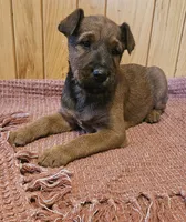 processed/c885e57f-ad13-4a58-b4ec-b978b00c7537/listing/1fb21c6a-d780-4d79-b3e4-47c398921f22/e7232129-ec0e-4661-8125-0599c70f5090