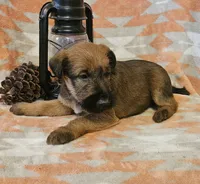 processed/c885e57f-ad13-4a58-b4ec-b978b00c7537/listing/4b901314-6dbd-4a6b-9d8c-6858f2812a8d/0dc5327b-b16e-46b7-a0d0-abd70234bd30