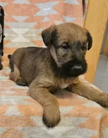 processed/c885e57f-ad13-4a58-b4ec-b978b00c7537/listing/4b901314-6dbd-4a6b-9d8c-6858f2812a8d/30fbe5fc-1c43-4be4-9844-f2eec8821a59