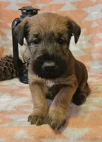 processed/c885e57f-ad13-4a58-b4ec-b978b00c7537/listing/4b901314-6dbd-4a6b-9d8c-6858f2812a8d/35c5408c-36ab-4203-8329-be9fb21d96d6