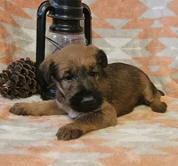 processed/c885e57f-ad13-4a58-b4ec-b978b00c7537/listing/4b901314-6dbd-4a6b-9d8c-6858f2812a8d/7c95f316-11f4-48db-9731-5c0a8fa9dd51