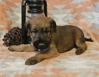 processed/c885e57f-ad13-4a58-b4ec-b978b00c7537/listing/4b901314-6dbd-4a6b-9d8c-6858f2812a8d/d3117e96-f73e-4c55-b4c9-1b0dd55521fe