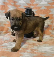 processed/c885e57f-ad13-4a58-b4ec-b978b00c7537/listing/4b901314-6dbd-4a6b-9d8c-6858f2812a8d/d4ebc7a2-0c05-49dc-93d6-da536bd8bb14