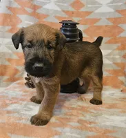 processed/c885e57f-ad13-4a58-b4ec-b978b00c7537/listing/4b901314-6dbd-4a6b-9d8c-6858f2812a8d/d7007498-4824-4a6e-afdc-1539e0c96693