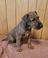 processed/c885e57f-ad13-4a58-b4ec-b978b00c7537/listing/6115ca01-abea-4131-a047-9a7d1fdcfad4/56c51706-a2bf-4480-8b99-422d10ec9dd0