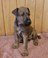 processed/c885e57f-ad13-4a58-b4ec-b978b00c7537/listing/6115ca01-abea-4131-a047-9a7d1fdcfad4/68752625-7910-467c-8fda-915bb8752e1e