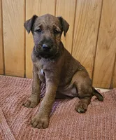 processed/c885e57f-ad13-4a58-b4ec-b978b00c7537/listing/6115ca01-abea-4131-a047-9a7d1fdcfad4/8eb7bd2c-052c-4342-86ea-b3803d8ddbb7