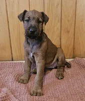 processed/c885e57f-ad13-4a58-b4ec-b978b00c7537/listing/6115ca01-abea-4131-a047-9a7d1fdcfad4/b36860fc-1588-470b-a934-86aad1f0055b