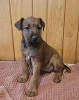 processed/c885e57f-ad13-4a58-b4ec-b978b00c7537/listing/6115ca01-abea-4131-a047-9a7d1fdcfad4/c1961276-513d-4470-81dd-2d9d37be24ed