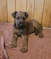 processed/c885e57f-ad13-4a58-b4ec-b978b00c7537/listing/6115ca01-abea-4131-a047-9a7d1fdcfad4/f3067e81-5b78-4210-8998-4816d9f4a1f9